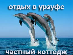 Пансионат, База отдыха 