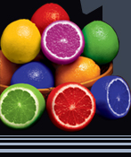 INFO 1550 / СЛУЖБА 050